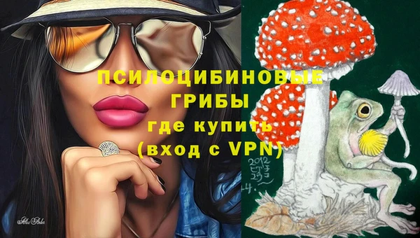 дурь Алексеевка