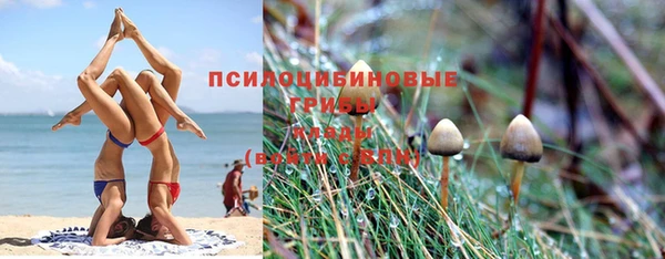 дурь Алексеевка